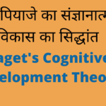 Piaget's Cognitive Development Theory