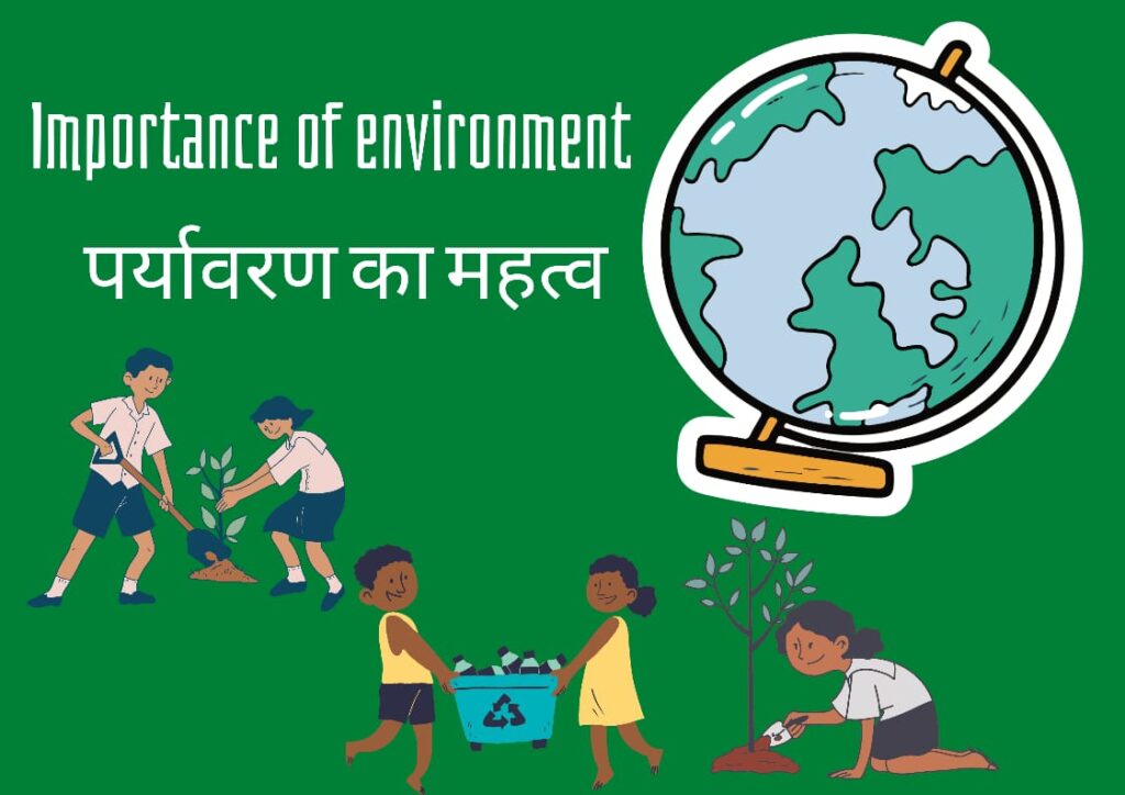 importantance of environment