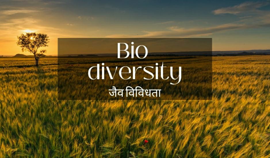 bio diversity