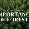 importance of forests