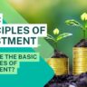 What are the basic principles of investment