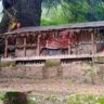 लाटू देवता मंदिर वाण